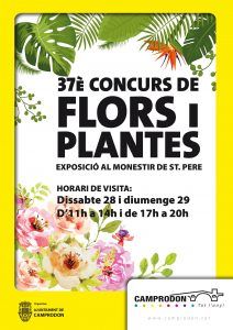Flors i plantes18-001
