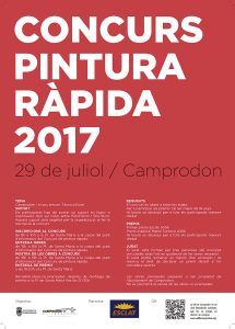 pinturarapidaCamprodon