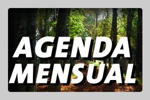 agenda mensual